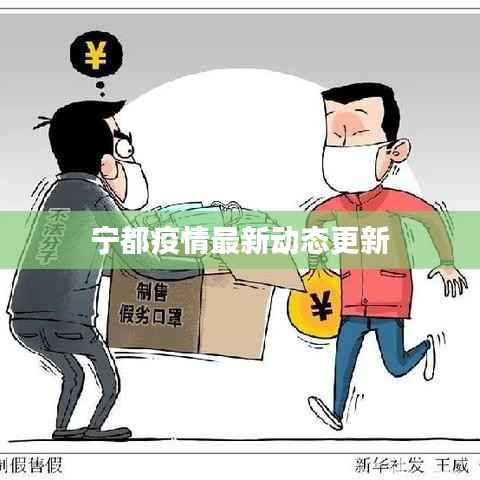宁都疫情最新动态更新