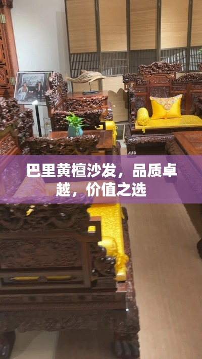 巴里黄檀沙发,品质卓越,价值之选