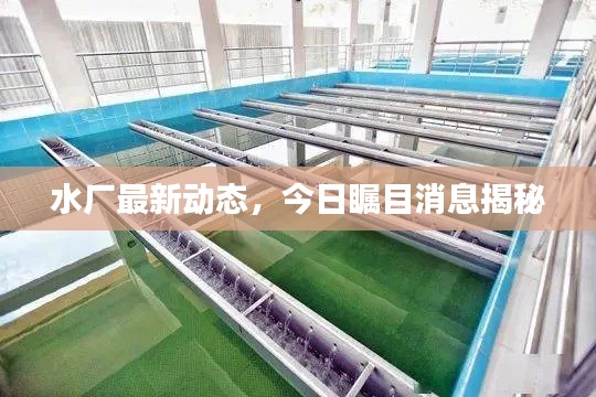 水厂最新动态,今日瞩目消息揭秘