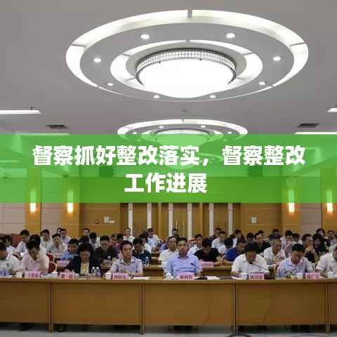 督察抓好整改落实,督察整改工作进展