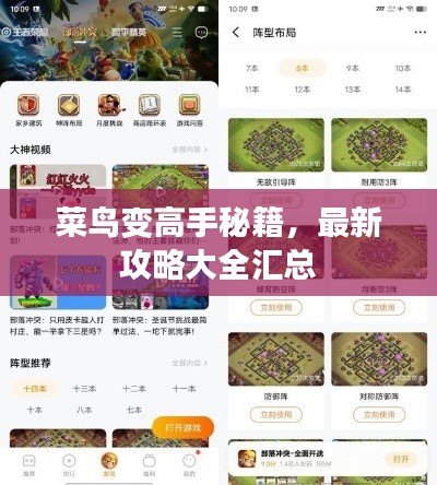 菜鸟变高手秘籍,最新攻略大全汇总