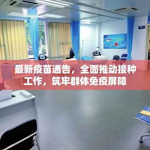 最新疫苗通告,全面推动接种工作,筑牢群体免疫屏障