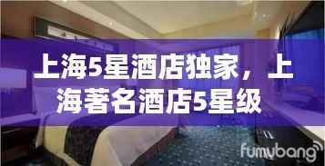上海5星酒店独家，上海著名酒店5星级 
