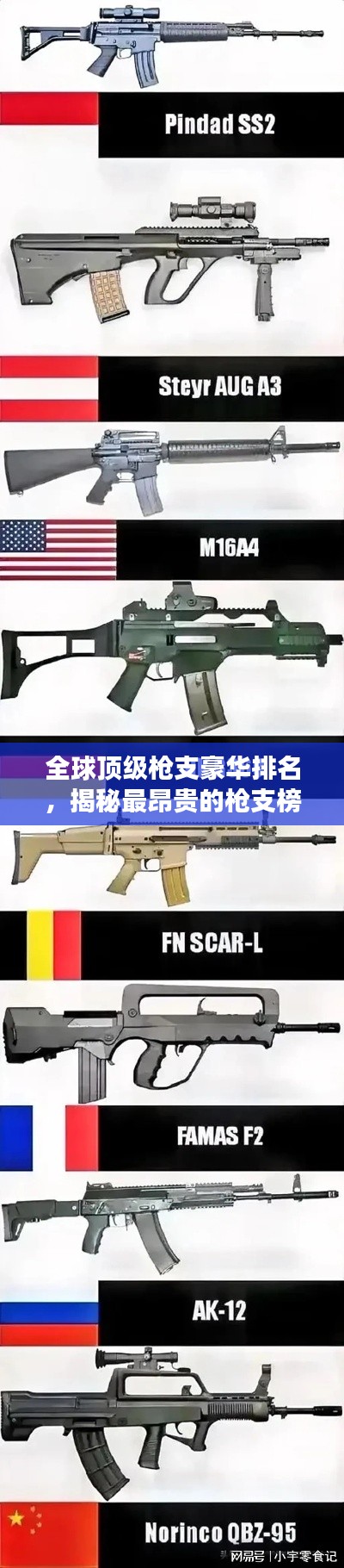 全球顶级枪支豪华排名,揭秘最昂贵的枪支榜单!