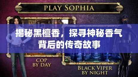 揭秘黑檀香,探寻神秘香气背后的传奇故事