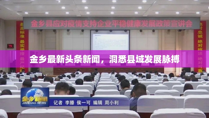 金乡最新头条新闻，洞悉县域发展脉搏