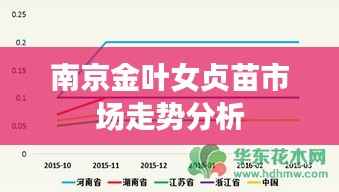 南京金叶女贞苗市场走势分析