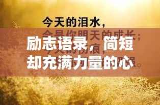 励志语录,简短却充满力量的心灵觉醒模板